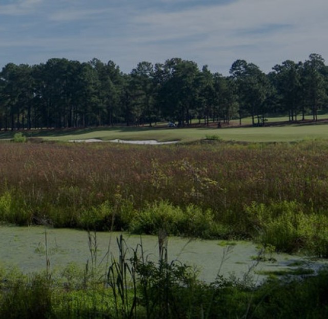 Pinehurst No. 8