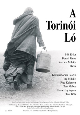 Turin Horse