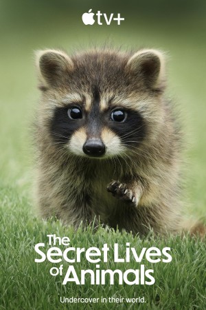 Secret Lives of Animals