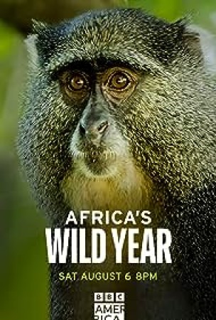 Africa's Wild Year